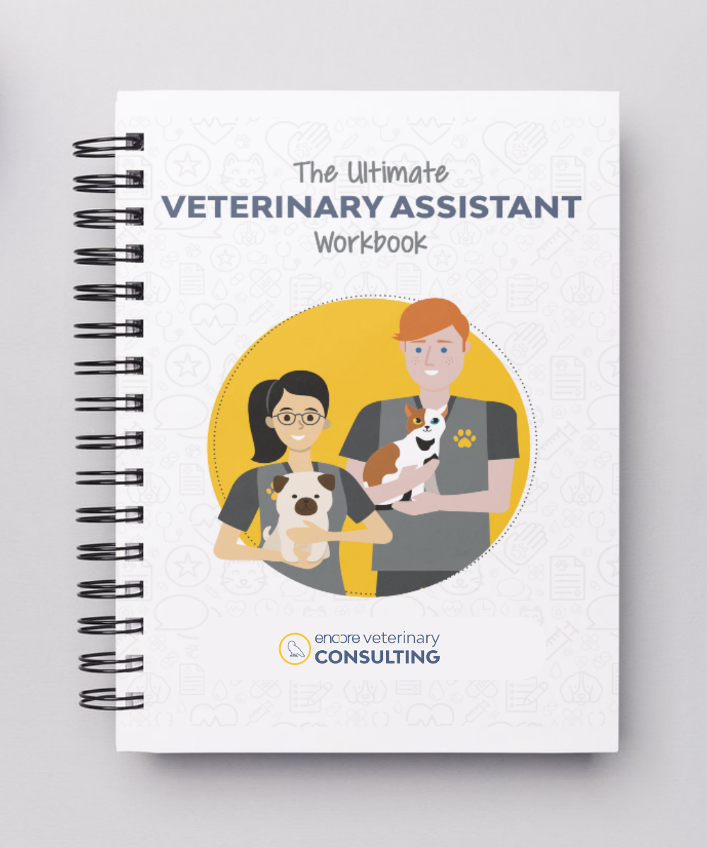 CSR Guest Experience Workbook Product Image